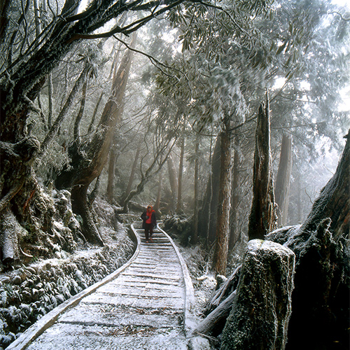 太平山